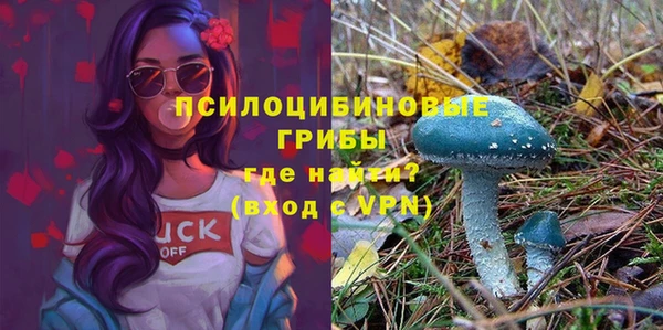 дистиллят марихуана Новозыбков