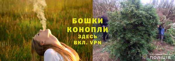 крисы Нея