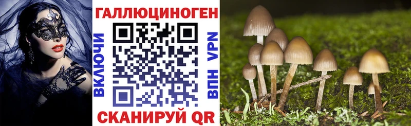магазин Волоколамск Галлюциногенные грибы Magic Shrooms