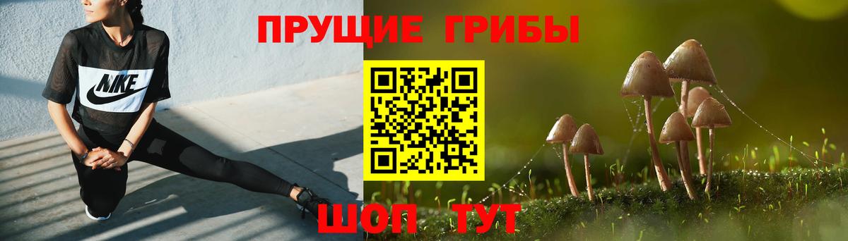 Псилоцибиновые грибы Cubensis Волоколамск