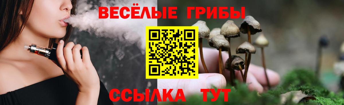 Псилоцибиновые грибы прущие грибы  Вход с VPN  Волоколамск 