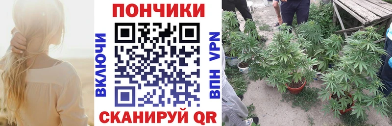 Шишки марихуана тримм купить наркотики цена Волоколамск